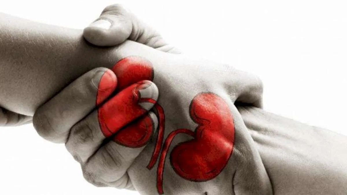 28 bin kişi organ bekliyor! Organ bağışı hakkında merak edilenler...