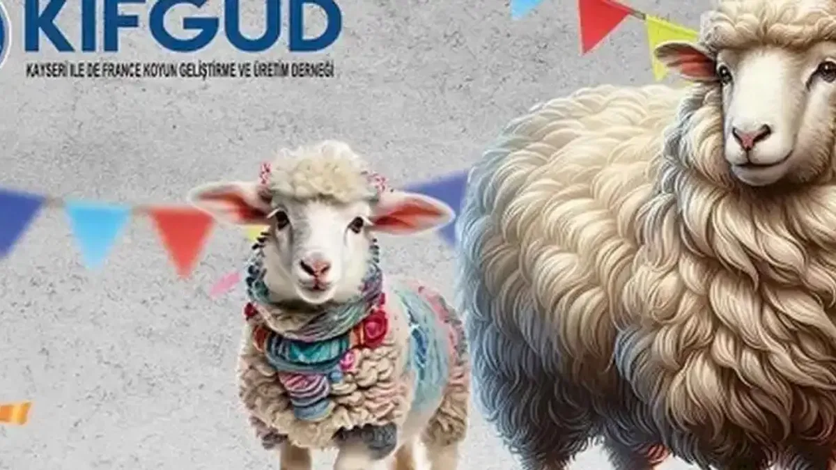 Kayseri Talas'ta France ırkına özel festival