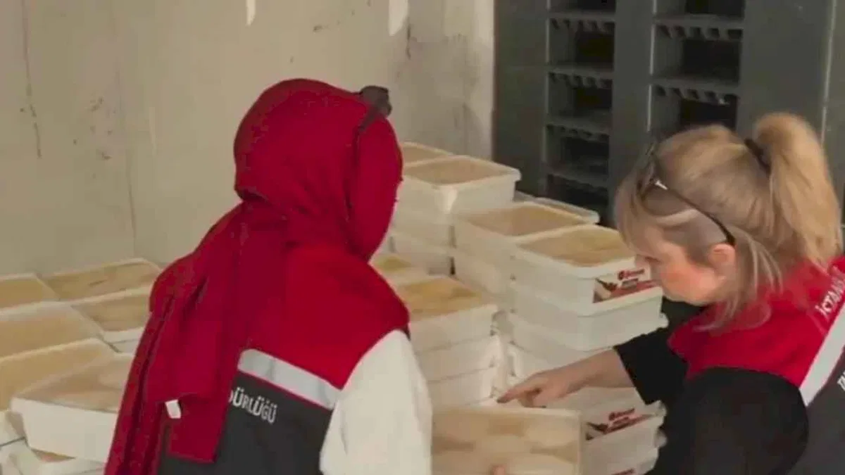 Gıda denetiminde 35 ton peynire el kondu!