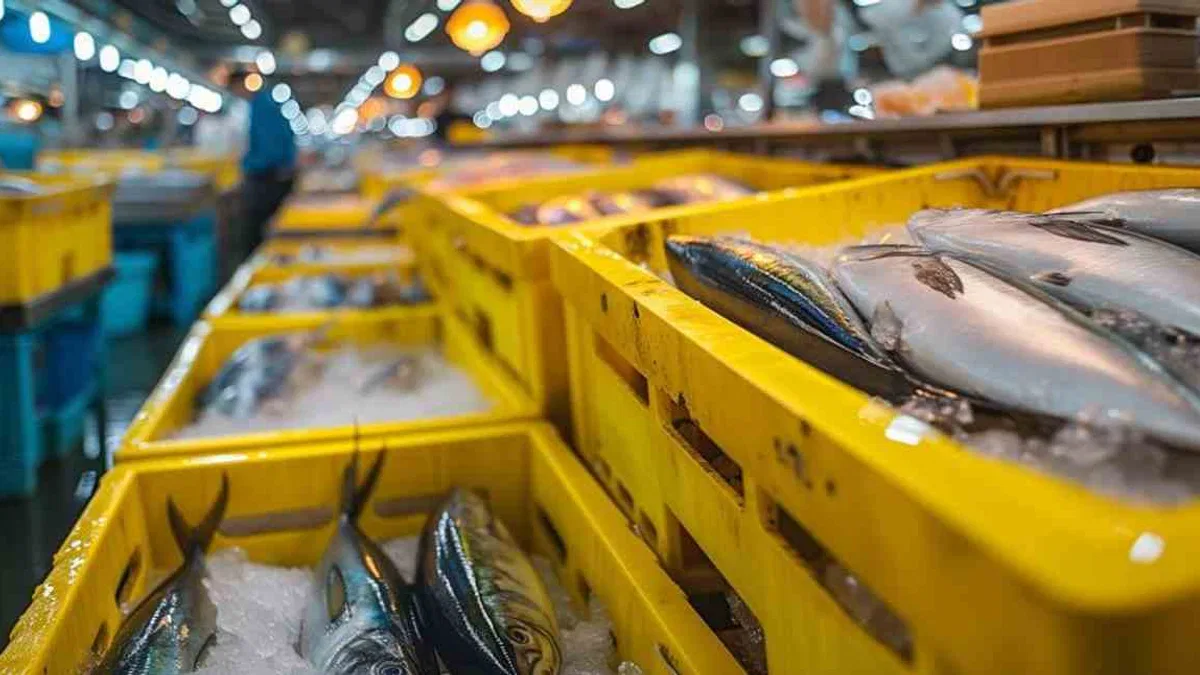 Türkiye, Akdeniz ve Karadeniz su ürünlerinde lider konumda