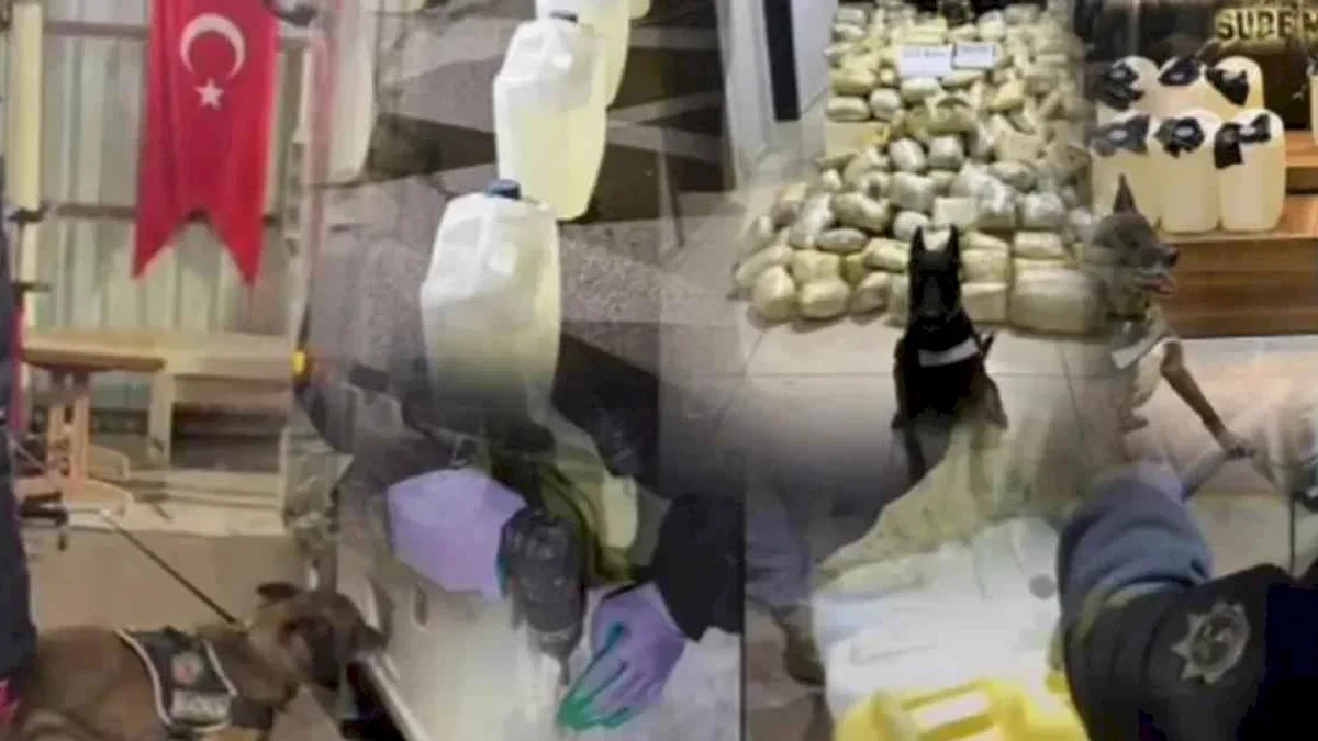 Erzurum ve Mersin'de 447 kilogram uyuşturucu: 3 gözaltı