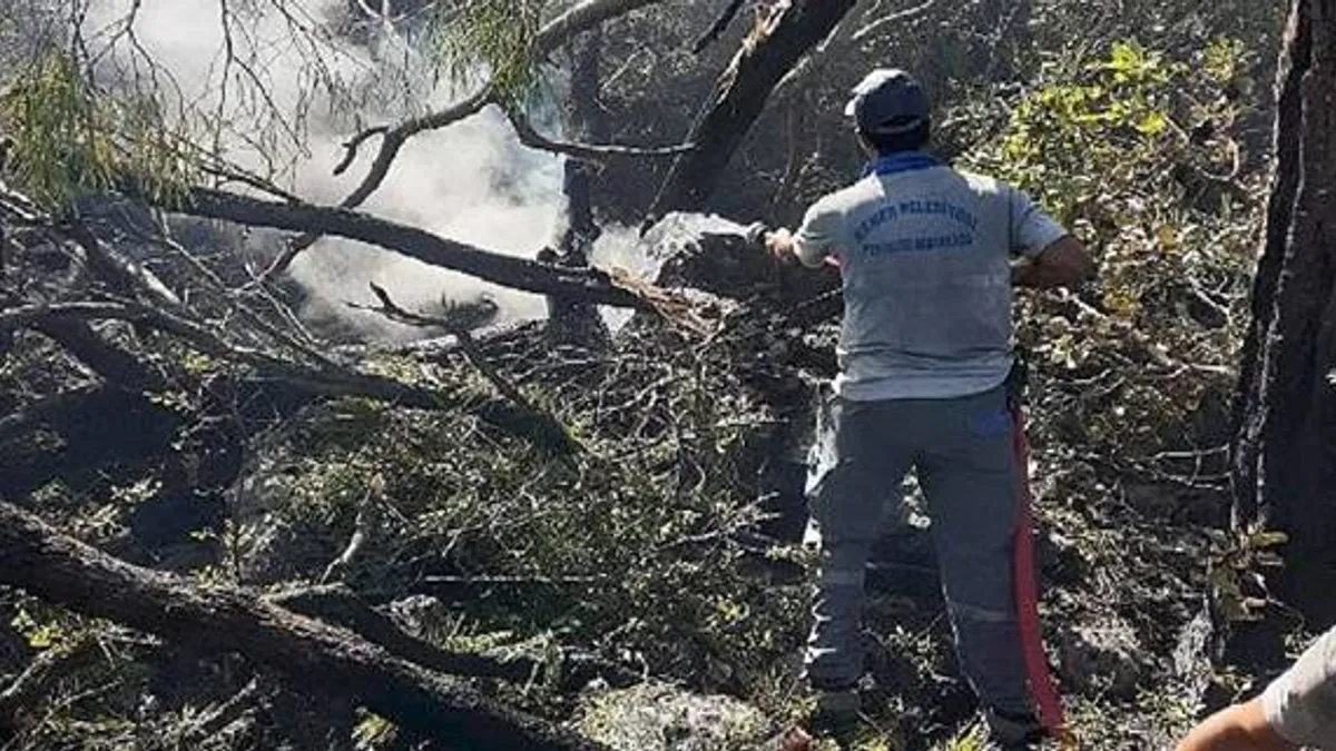 Kemer'deki orman yangınına müdahale sürüyor