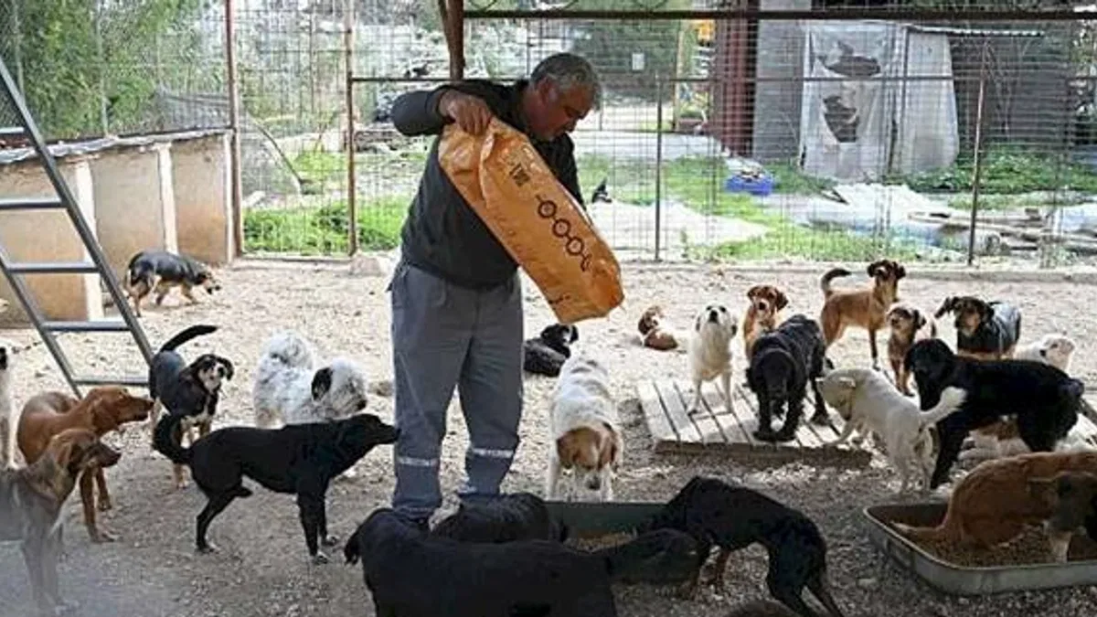 Kemer Belediyesi mama üretim tesisini açıyor