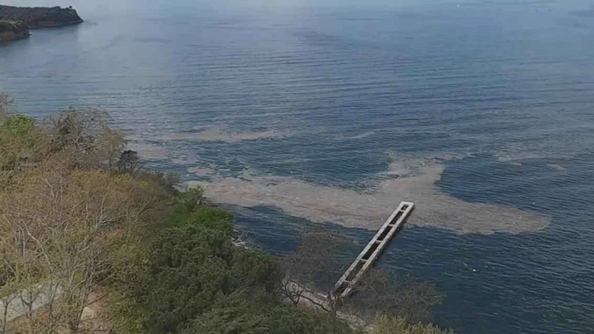 Müsilaj Gemlik Körfezi'nde yeniden görüldü
