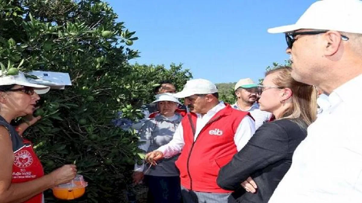 Ege ihracatçıları 'iyi tarım uyguamalarını' Muğla'da sürdürdü