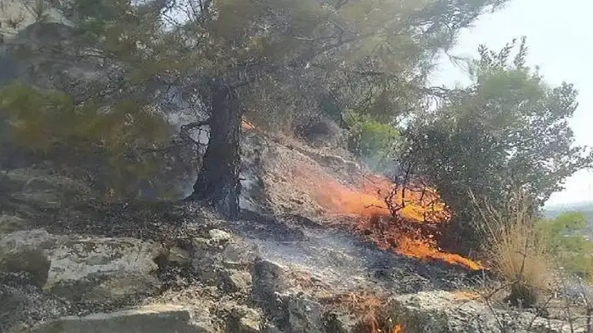 Aydın Büyükşehir Belediyesi İtfaiyesi, Söke'de ormanlık alanda çıkan yangını hızlı müdahaleyle büyümeden söndürdü