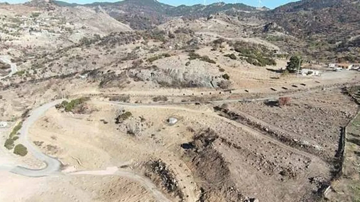 Doğançaylı arıcılar istedi Başkan Tugay talimatı verdi Yanan araziler bal ormanıyla küllerinden doğuyor