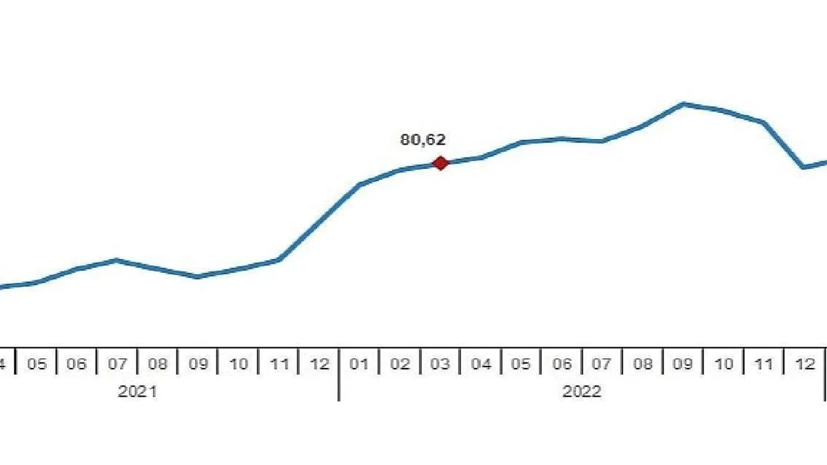 TÜİK: Hizmet Üretici Fiyat Endeksi (H-ÜFE) yıllık %73,55, aylık %2,30 arttı
