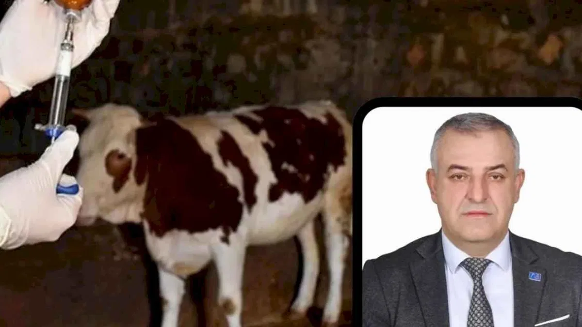 Bursa Mustafakemalpaşa’da şap alarmı!