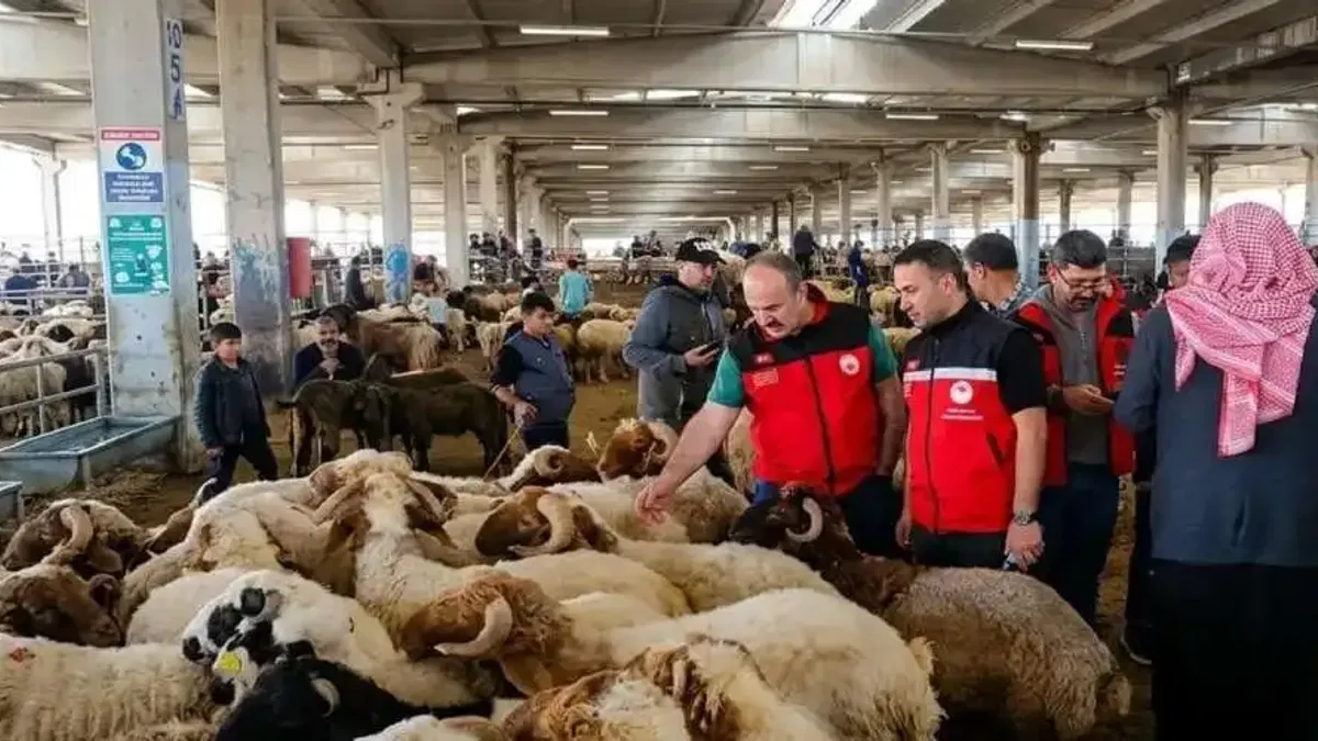 Kurban denetimleri 81 ilde sıkılaştırıldı