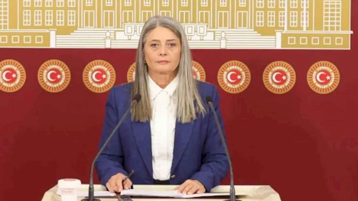 CHP'li Suiçmez'den Sağlık Bakanlığı'na 'doğum' tepkisi