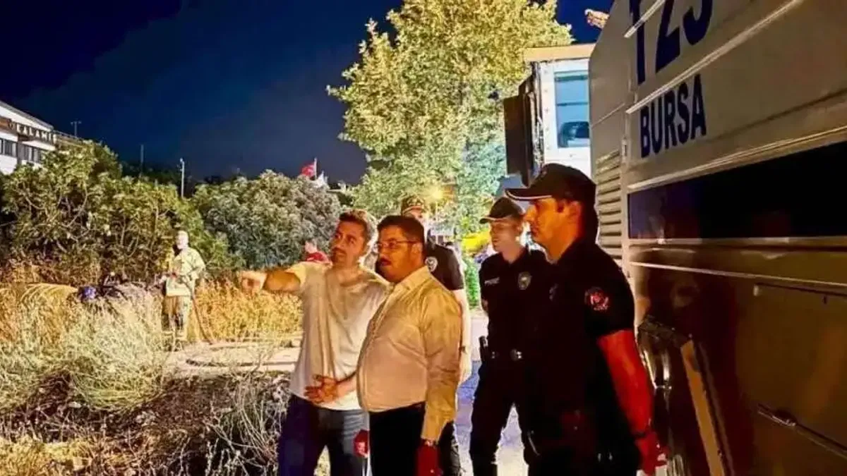 Mudanya Yolu’ndaki yangın kontrol altına alındı! 4 dönüm alan zarar gördü!