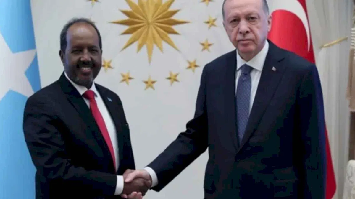 Cumhurbaşkanı Erdoğan, Somalili mevkidaşıyla görüştü