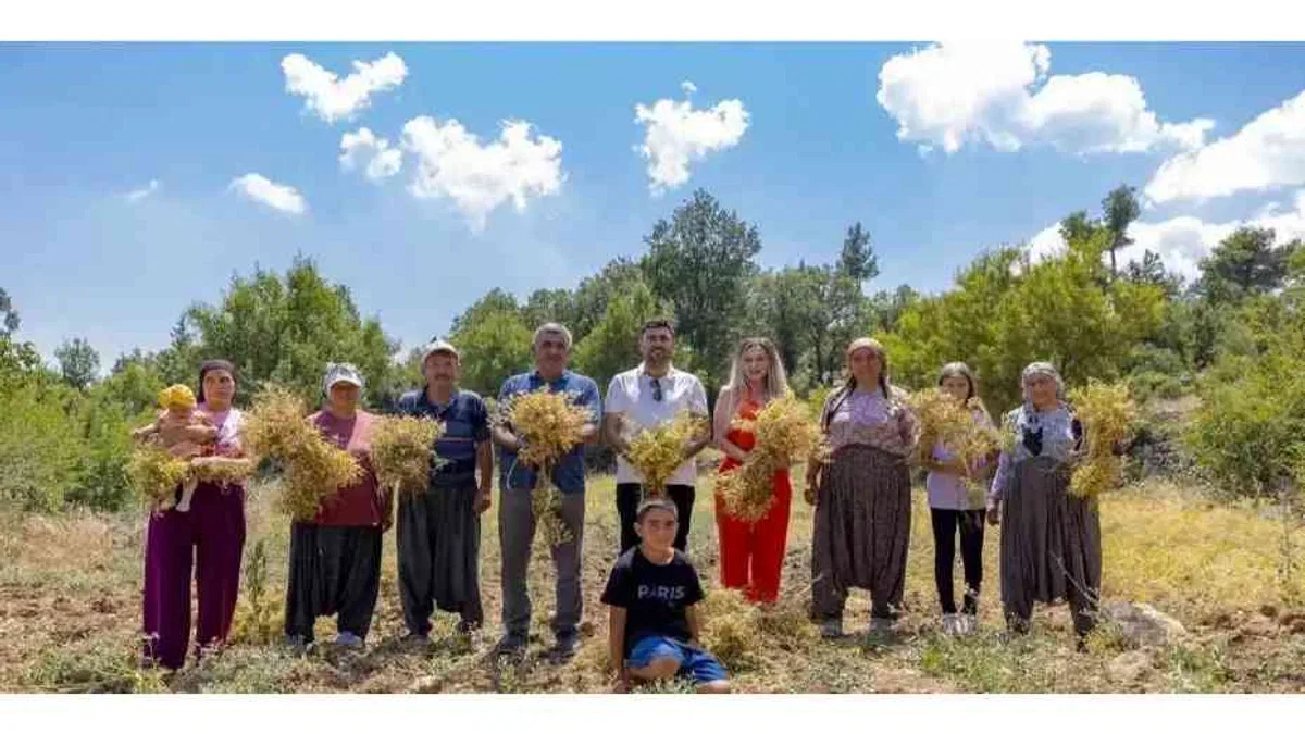 Mersin’de yerel tohumlar geleceğe taşınıyor