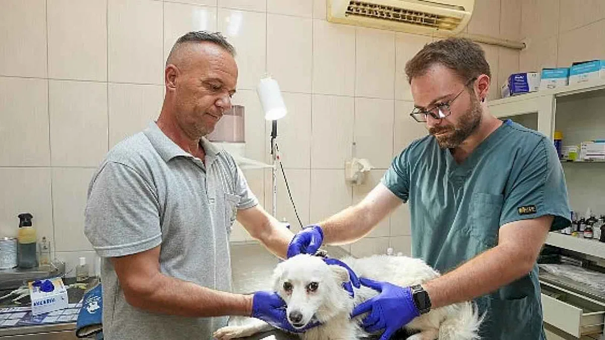 Gaziemir Belediyesi'nden 6 bin 222 can dosta şefkat eli