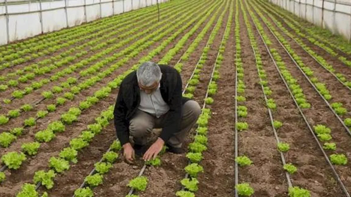 Balıkesir’de “Tarım Modeli” ile çiftçiye destek