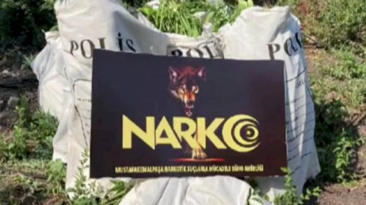 Bursa NARKO'dan şafak operasyonu: 135 gözaltı