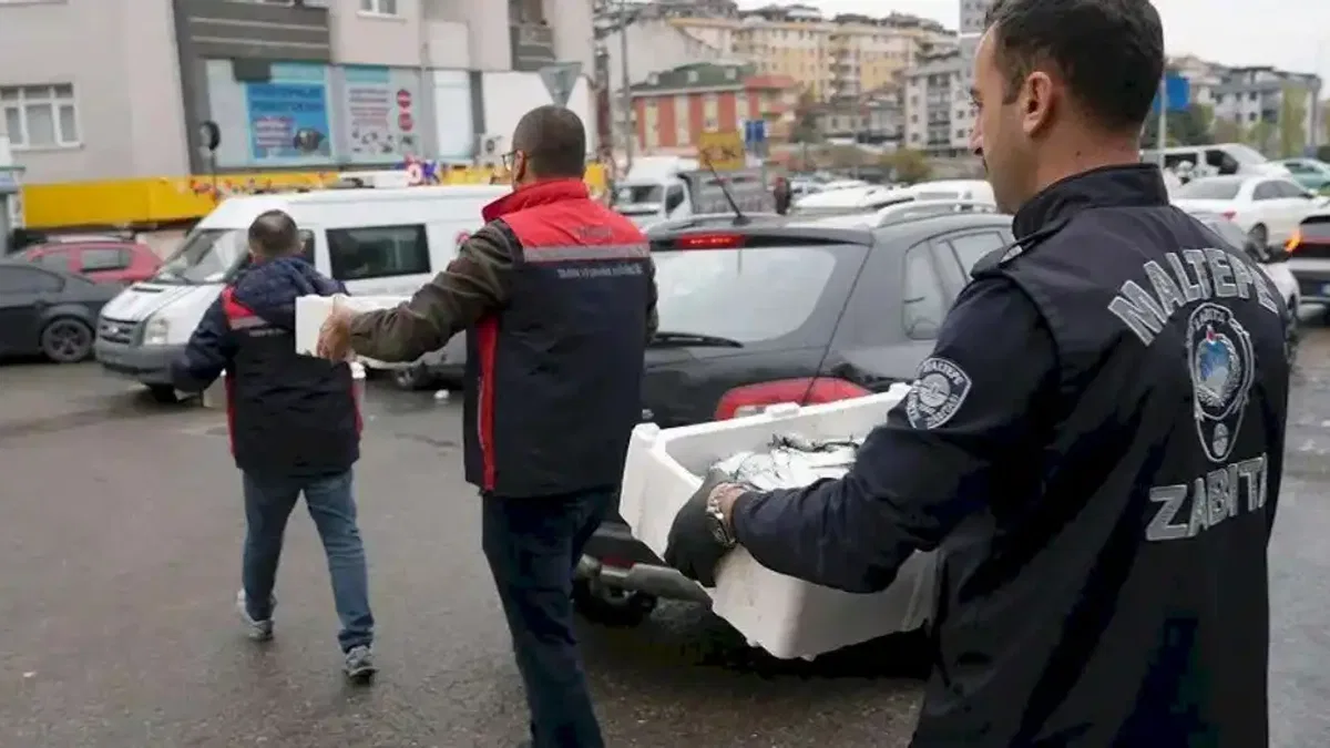 İstanbul Maltepe'de balık denetimi