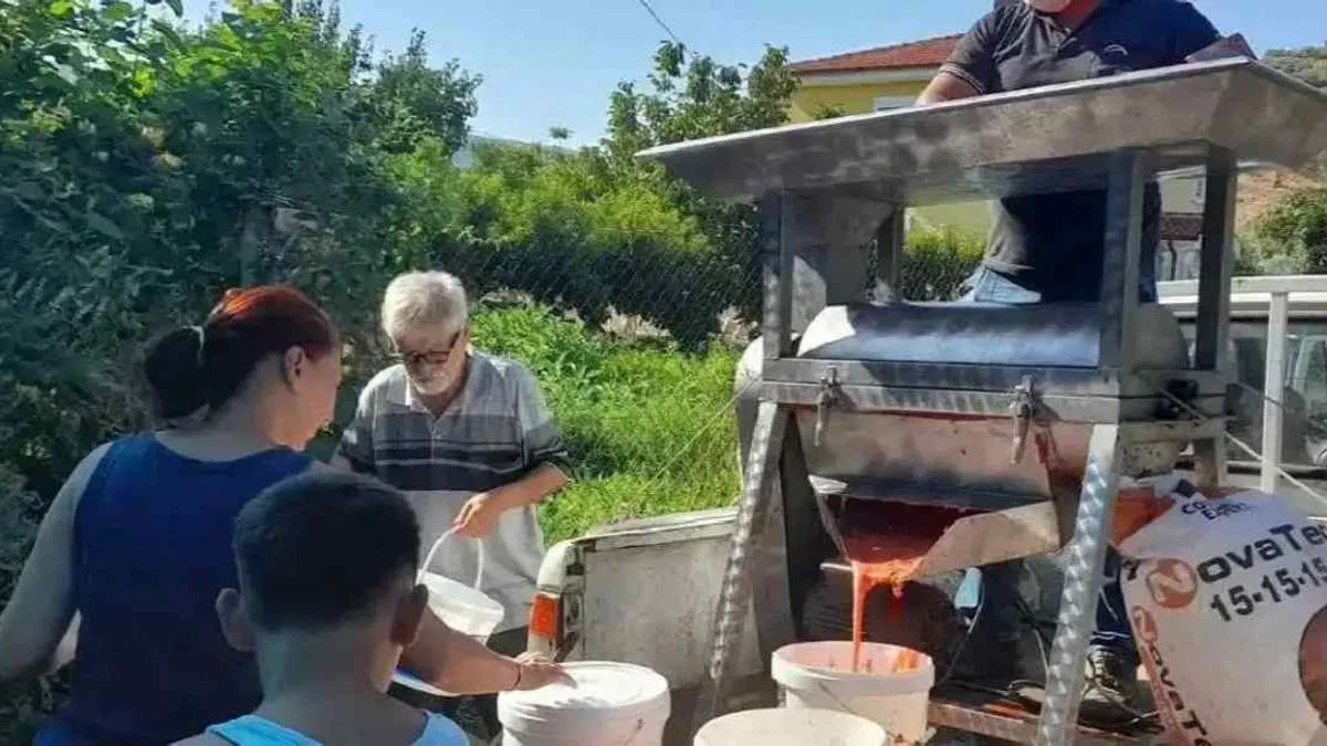İzmir Efes Selçuk'ta kışlık domates hazırlığı