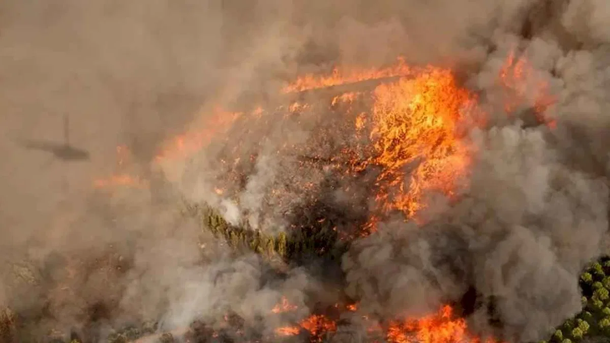 Orman yangınlarını önlemek işbirliği ile mümkün