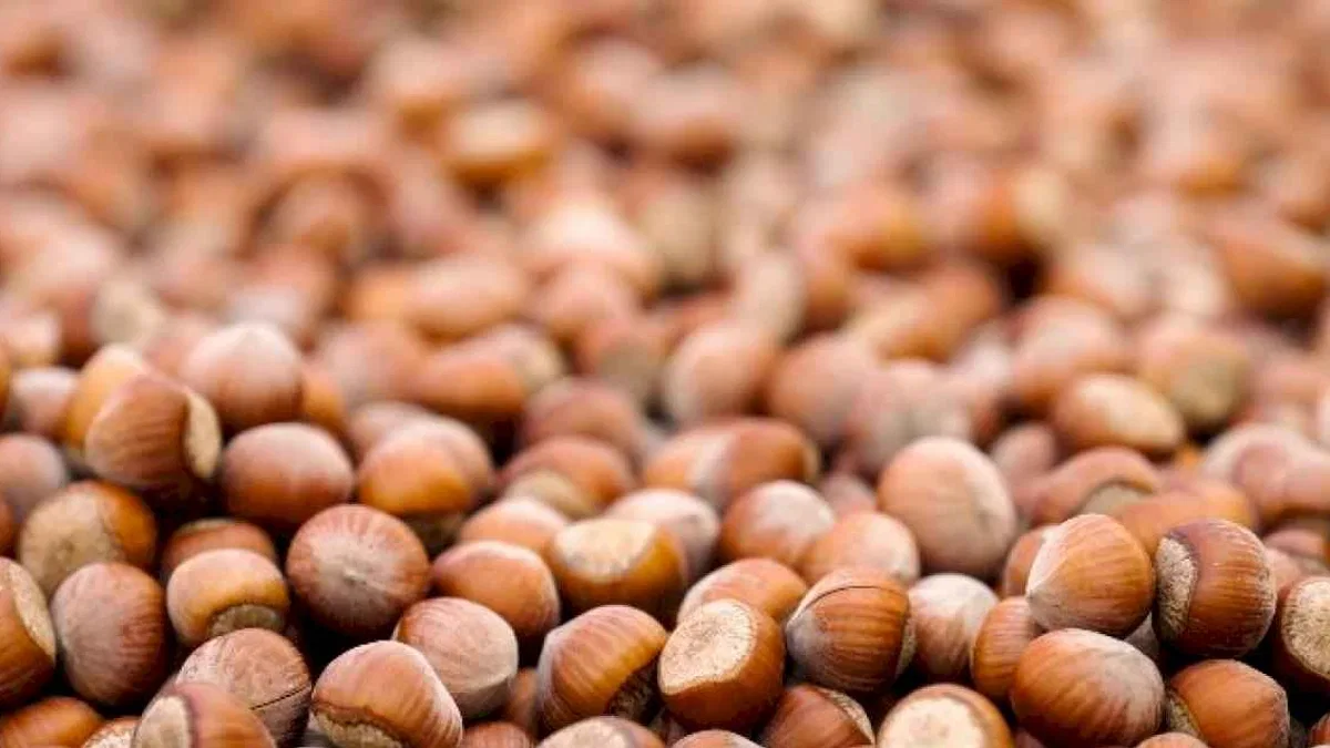 Ferrero Grubu, hedeflerine ulaşma yolunda önemli ilerleme kaydetti