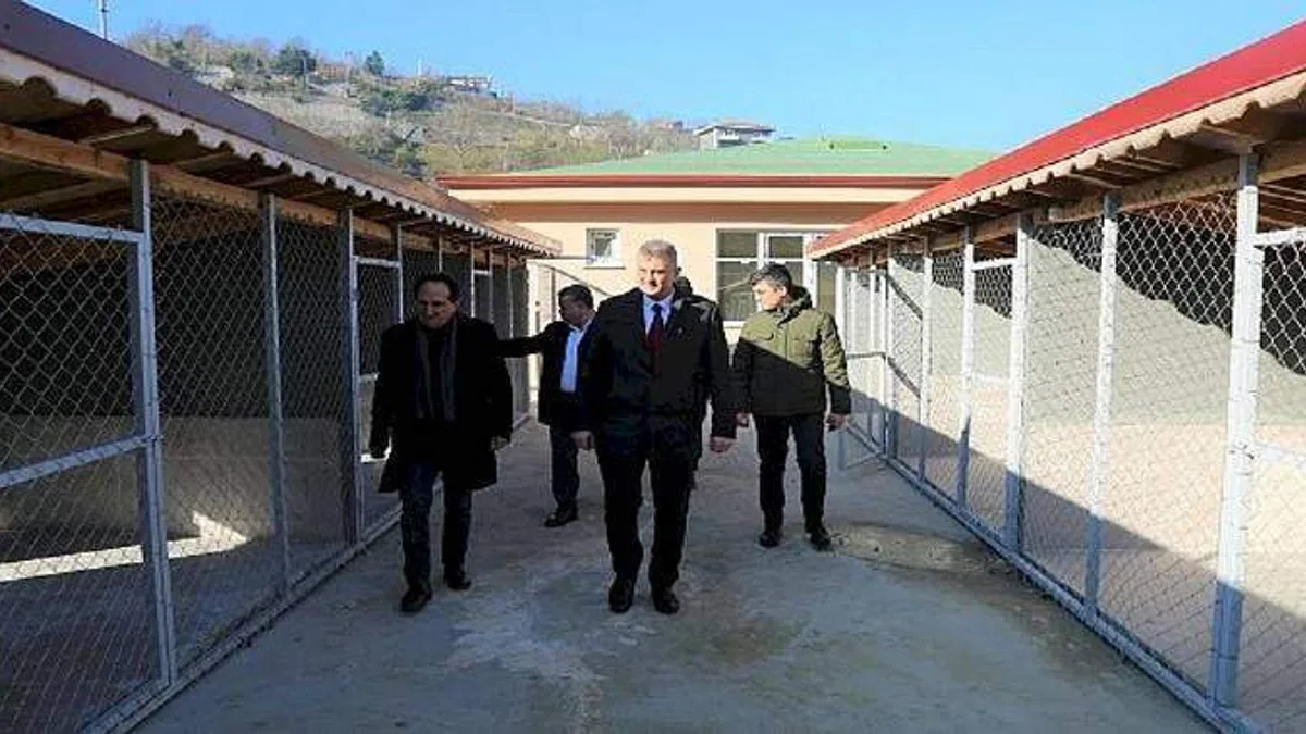 Gölcük Sokak Hayvanları Rehabilitasyon Merkezi İnşaatı Tamamlandı