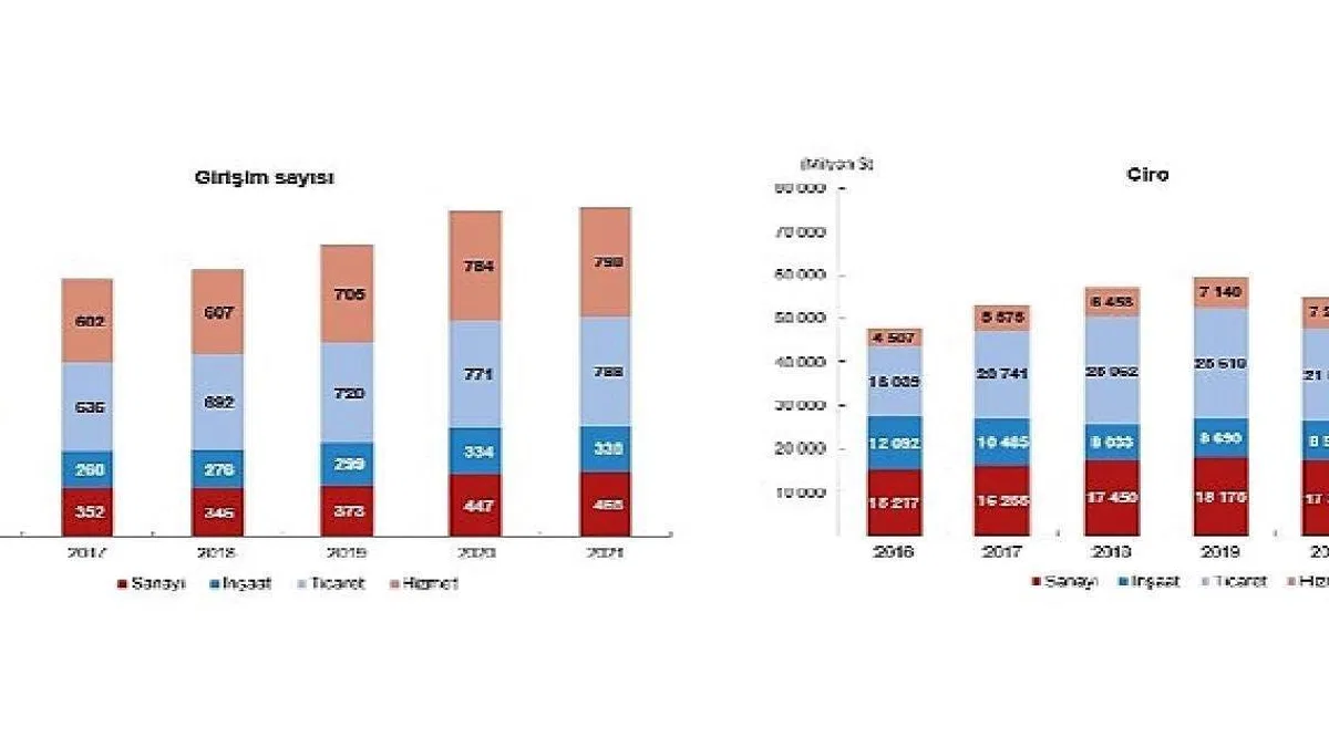 TÜİK: Yurt Dışında Kontrol Edilen Girişim İstatistikleri, 2021
