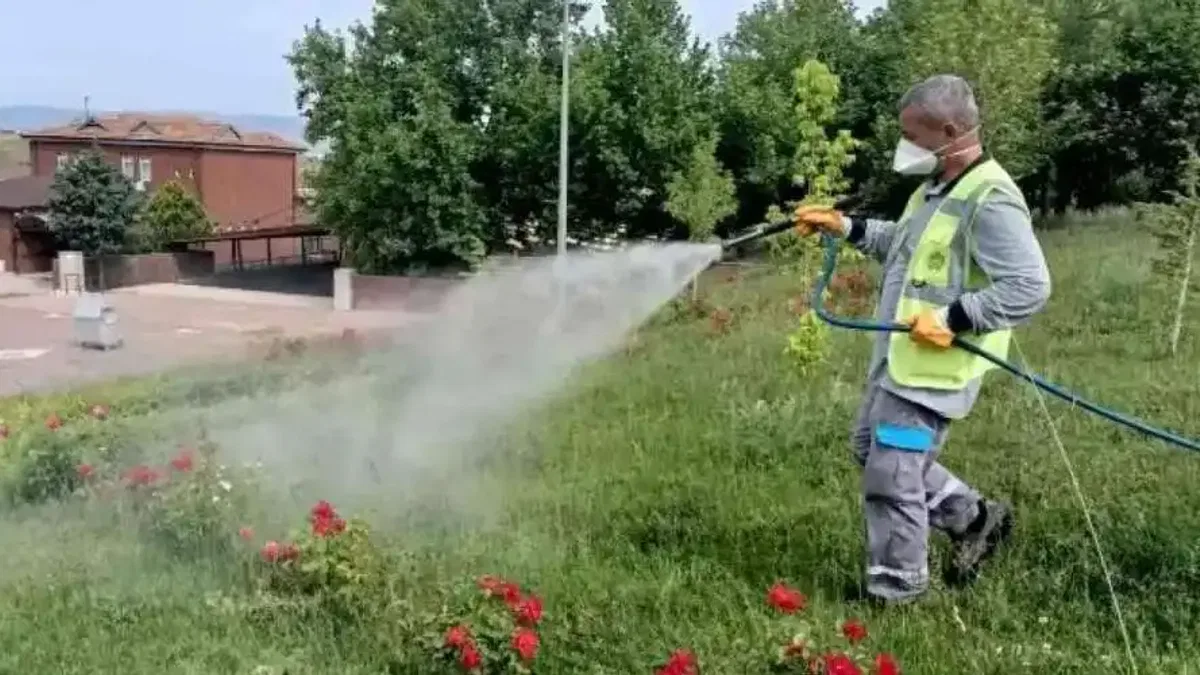Malatya'da ilaçlama çalışmaları yoğun bir şekilde sürdürülüyor