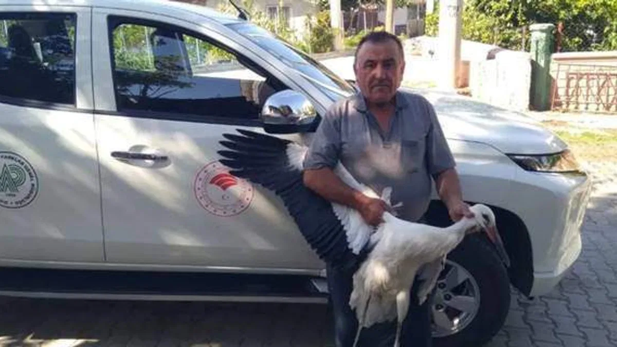 Beyşehir'de bulunan yaralı leylek tedavi ediliyor