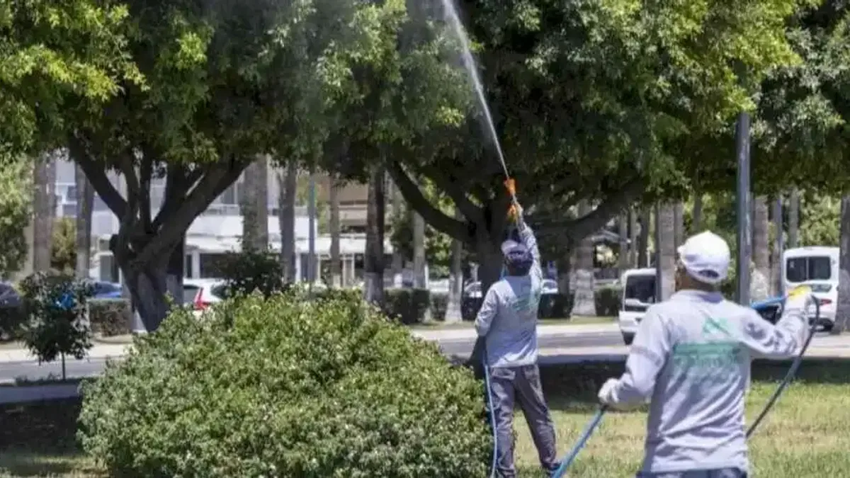 Mersin'de ilaçlama çalışmaları sürüyor