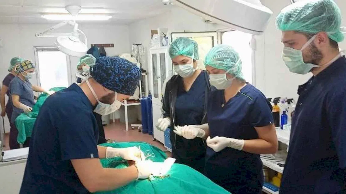 Geleceğin veteriner hekimlerine Osmangazi'de eğitim