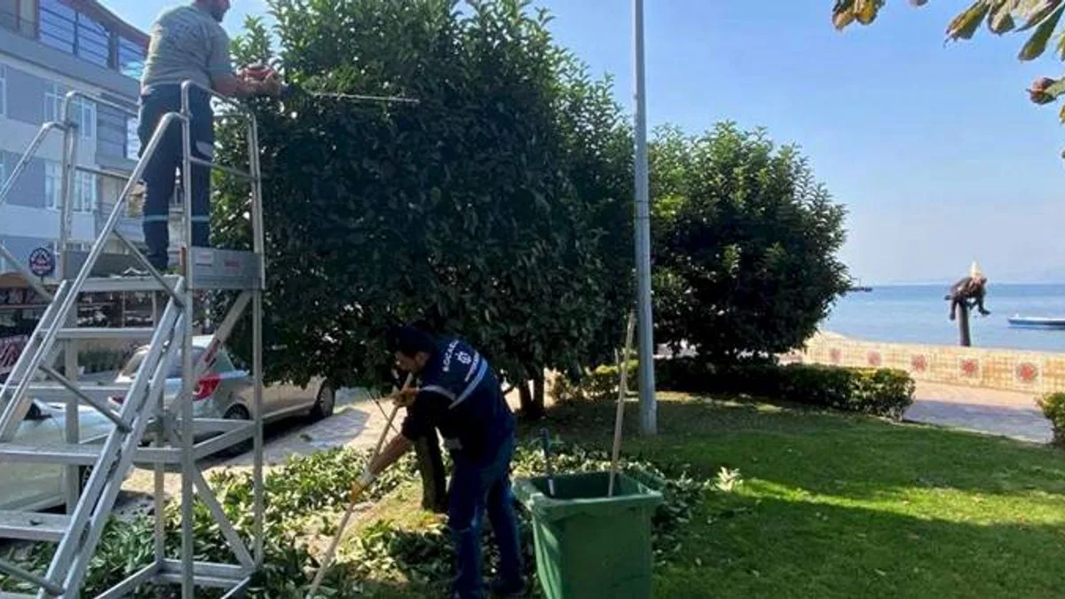 Kocaeli Büyükşehir'den yeşil alanlara özel bakım