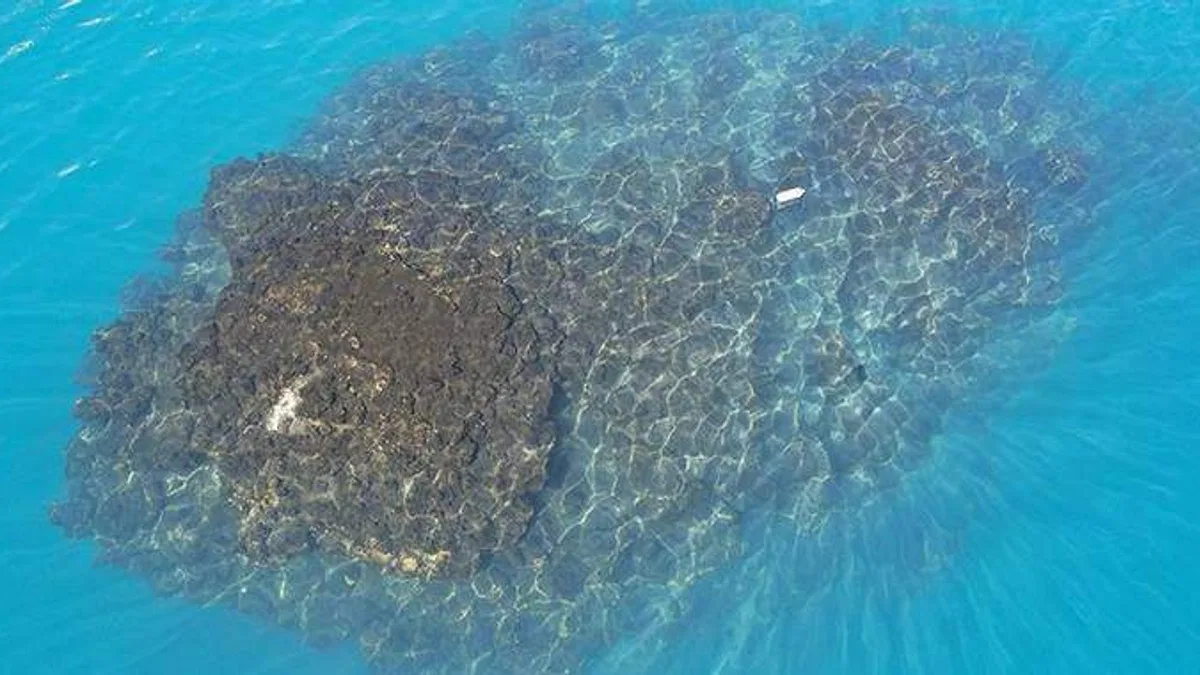 Van Gölü'nde 32,2 metre uzunluğunda mikrobiyalit görüntülendi