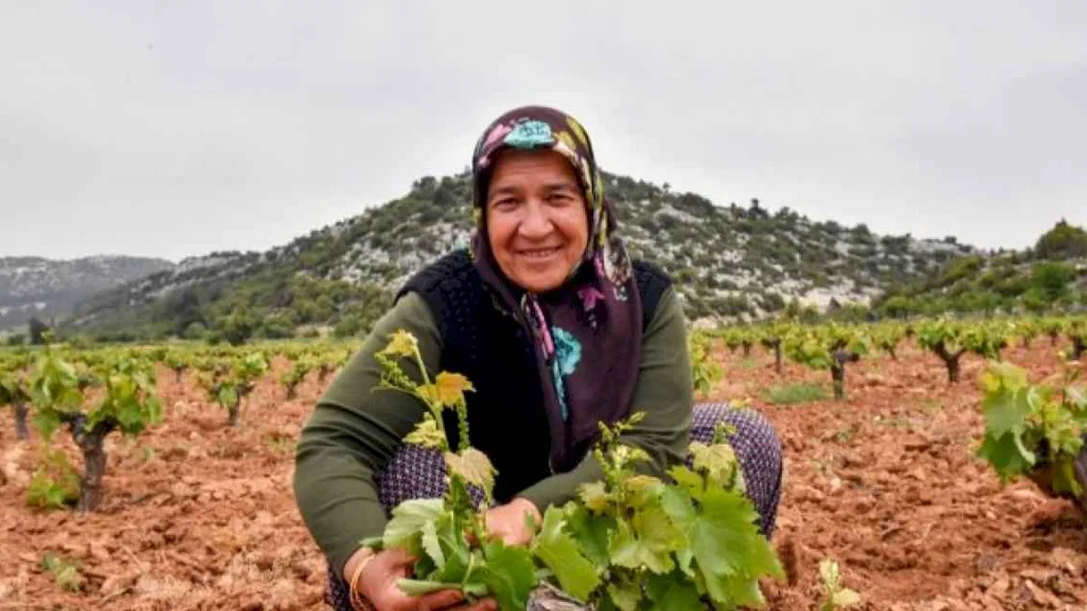 Çiftçinin yüzü organikle gülüyor
