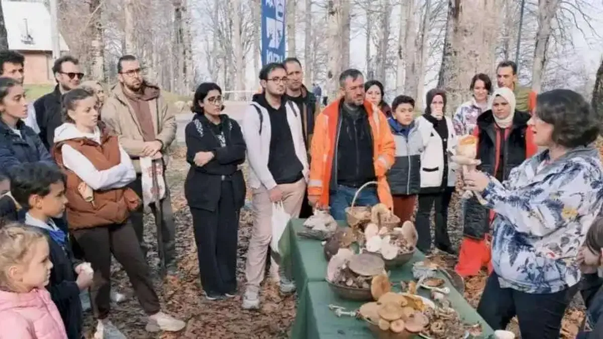 Kocaeli Kuzuyayla’da mantarların gizemli dünyası keşfedildi