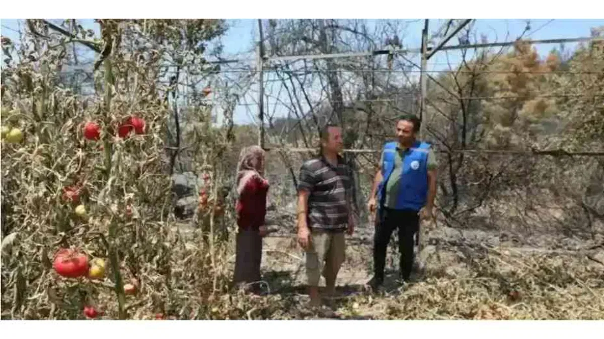 Muğla Seydikemer'de yangın sonrası seferberlik