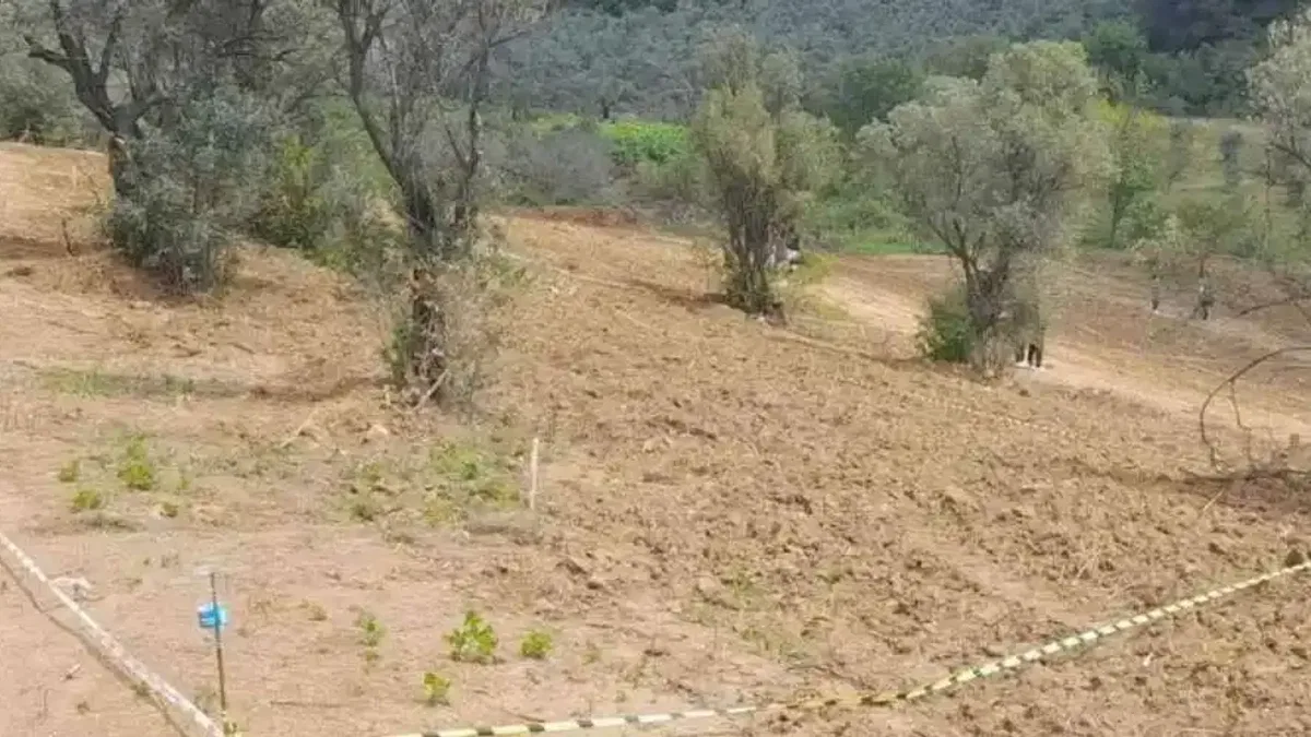 Mudanya'dan tarım arazilerinde hisseli satışlara karşı uyarı!