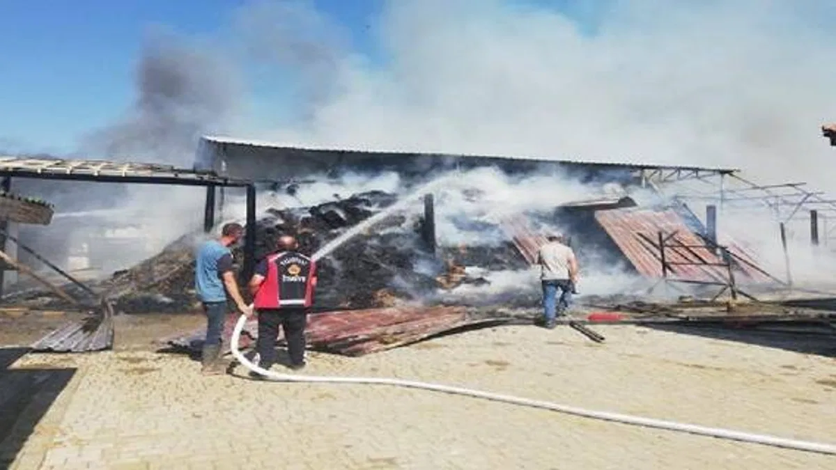 Bilecik’te at çiftliğinde büyük yangın