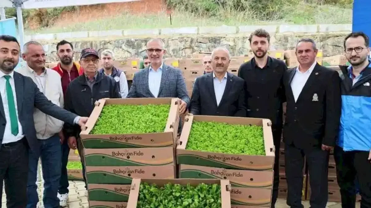 Gebze'de sebze fideler dağıtıldı