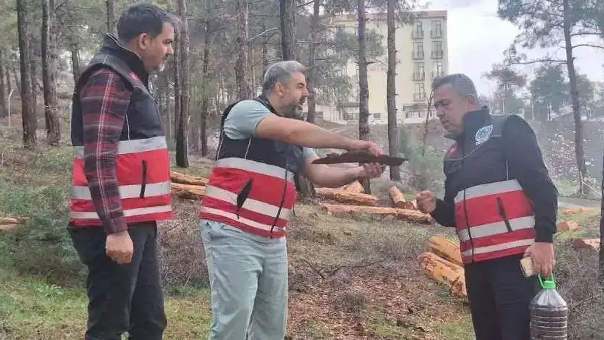 Hatay’da mücbir ağaç kesimlerine 'Tabiatı Koruma'dan açıklama