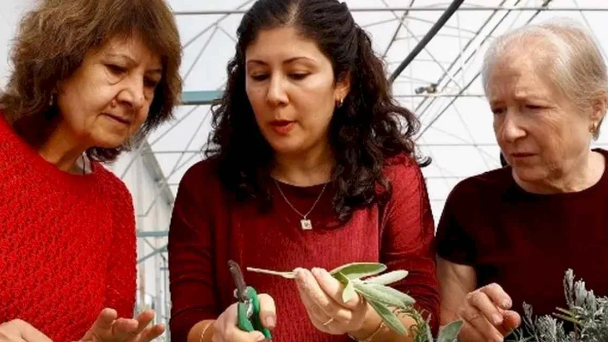 Antalya’da 'Tıbbi ve Aromatik Bitki Yetiştiriciliği' kursu ilgi görüyor
