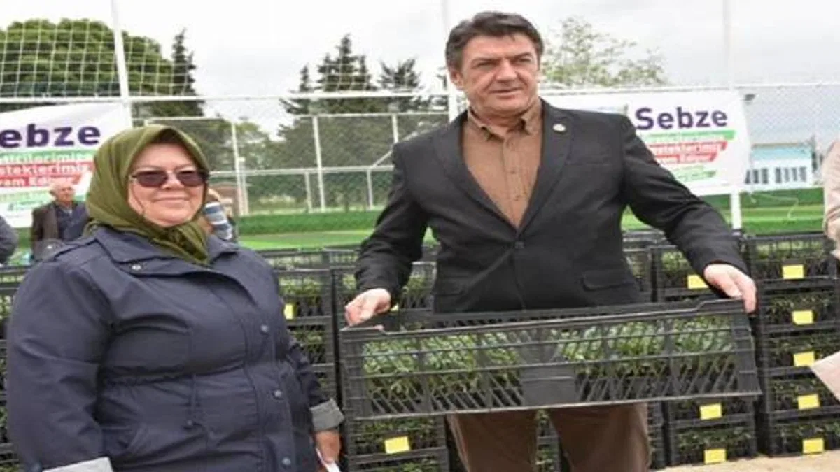 Üreticilere domates fidesi desteği