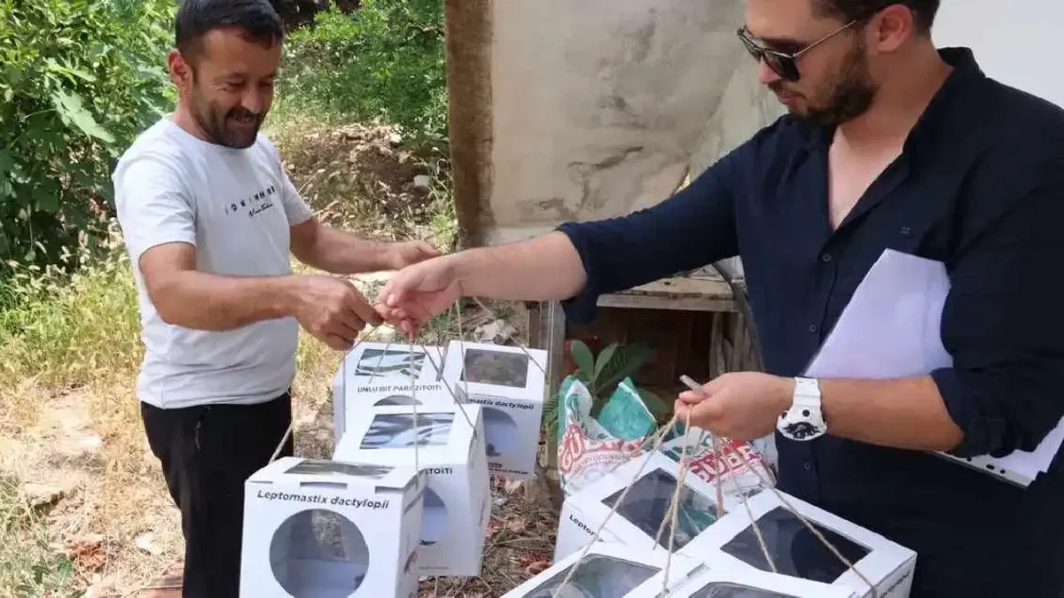 Antalya'da 800 dekar araziye faydalı böcek desteği