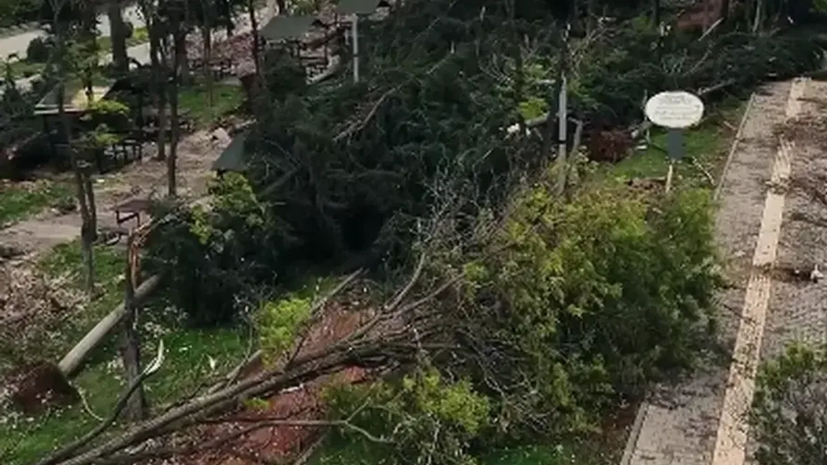 Gaziantep'e 50 milyon TL aktarıldı