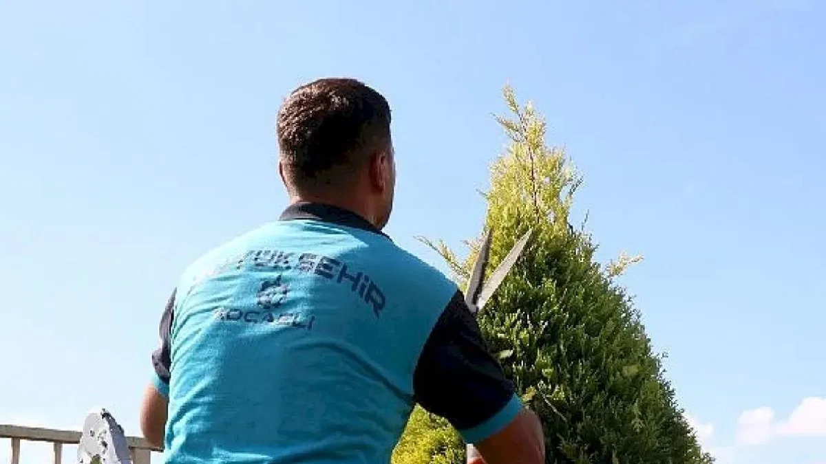 Park ve bahçelerde sonbahar budaması
