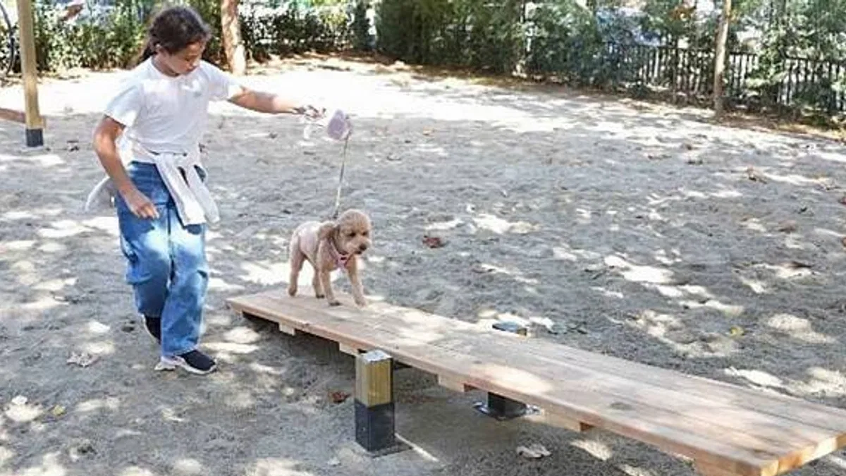 Hayvanları Koruma Günü'nde Kadıköy'de "Pati Park" Açıldı