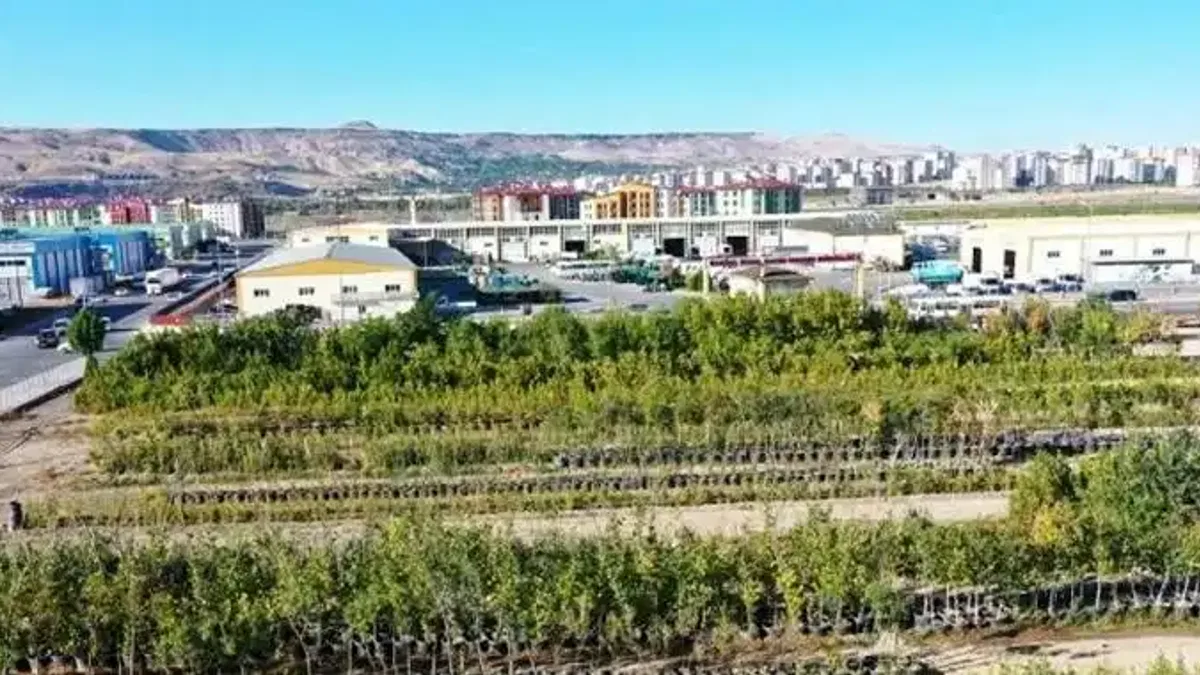 Kayseri Kocasinan 'yeşil' rekor kıracak