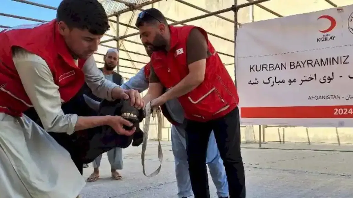 Türk Kızılay'ın kurban kesimleri 19 ülkede sürüyor