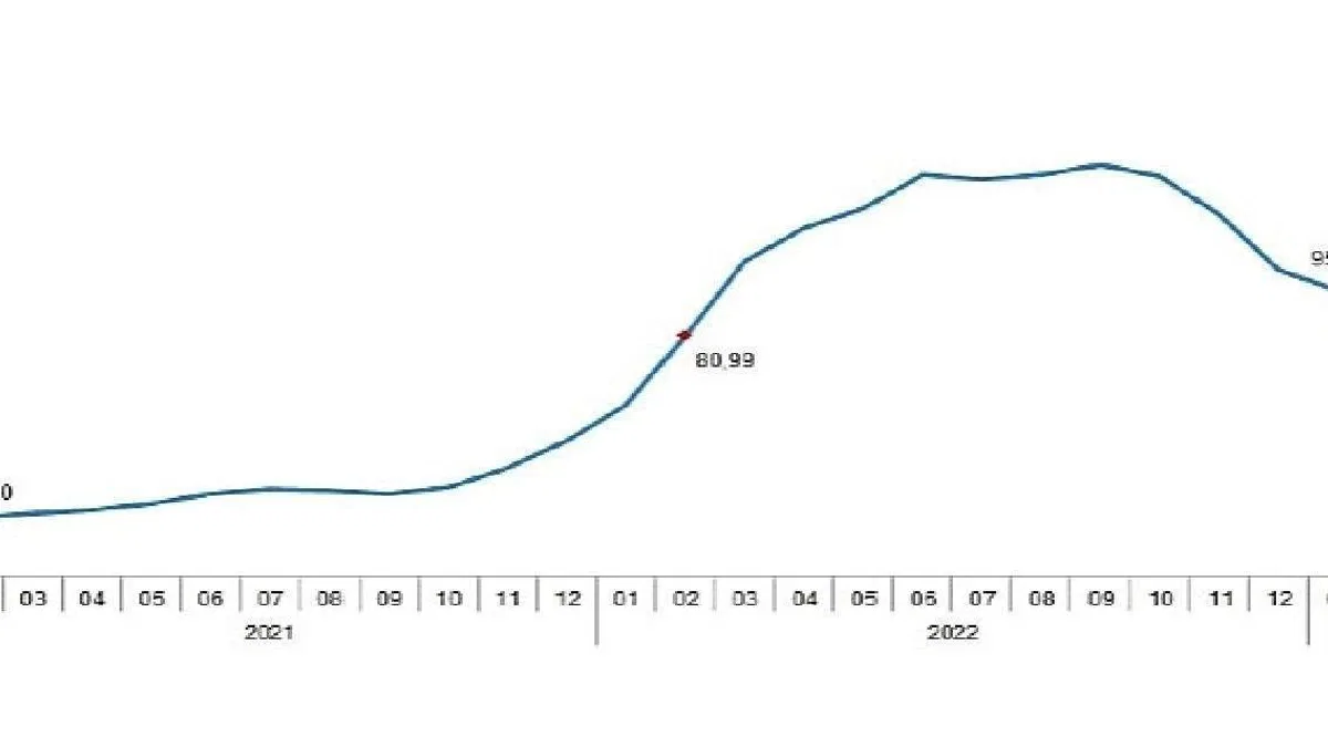TÜİK: Tarımsal girdi fiyat endeksi (Tarım-GFE) yıllık %69,99, aylık %1,22 arttı