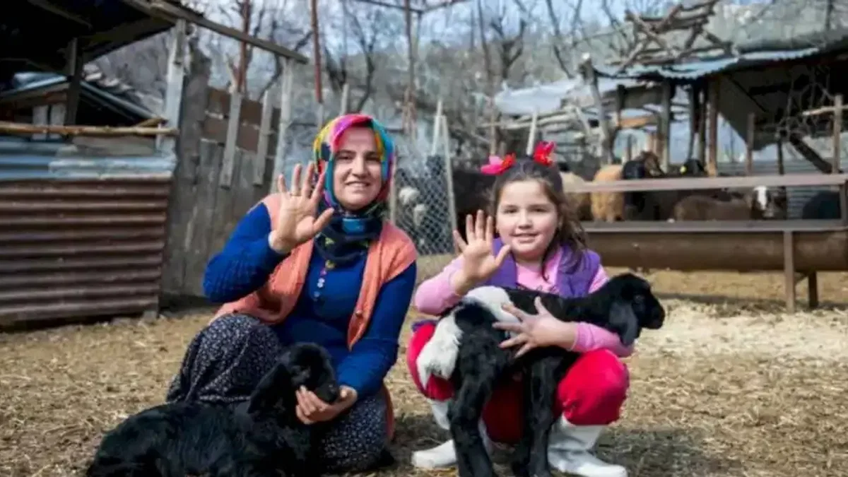 300 yetiştiriciye 7 bin 500 küçükbaş hayvan desteği